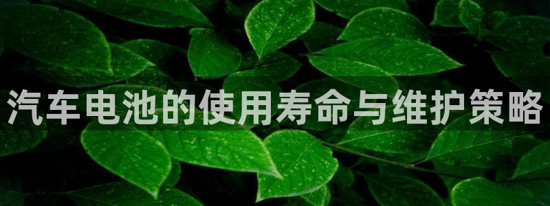 优发国际客服联系方式查询：汽车电池的使用寿命与维护策略