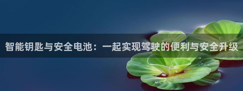 优发国际网官：智能钥匙与安全电池：一起实现驾驶的便利与安全升级