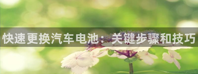 优发国际网站官网：快速更换汽车电池：关键步骤和技巧