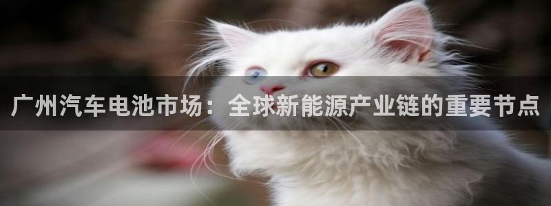 优发国际手机客户端下载安装苹果：广州汽车电池市场：全球新能源产业链的重要节点