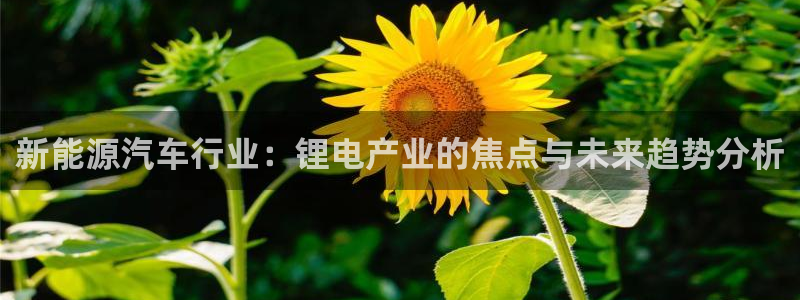 优发国际网官网17k8：新能源汽车行业：锂电产业的焦点与未来趋势分析
