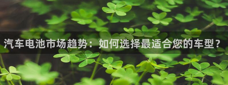 优发国际官网入口app下载苹果：汽车电池市场趋势：如何选择最适合您的车型？