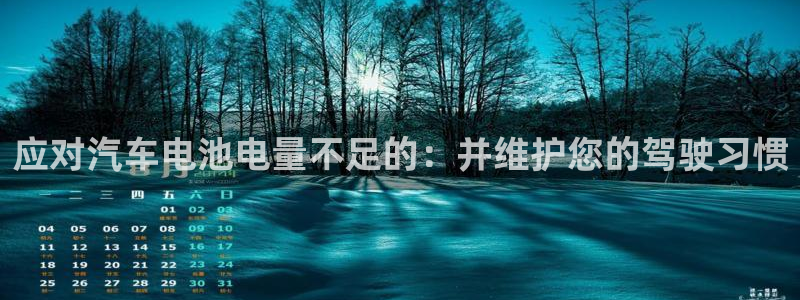 优发国际官网手机版app：应对汽车电池电