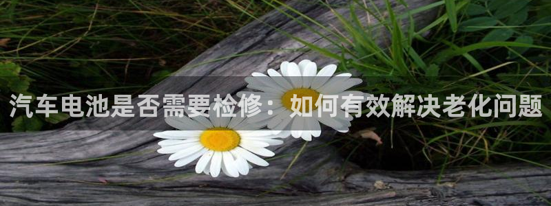 优发国际不出款怎么办：汽车电池是否需要检修：如何有效解决老化问题