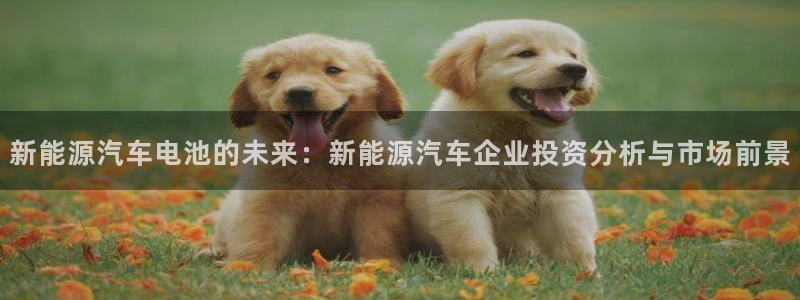 优发国际平台手机版下载官网：新能源汽车电池的未来：新能源汽车企业投资分析与市场前景