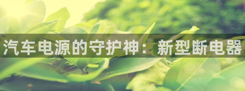 优发国际最新网站下载：汽车电源的守护神：新型断电器
