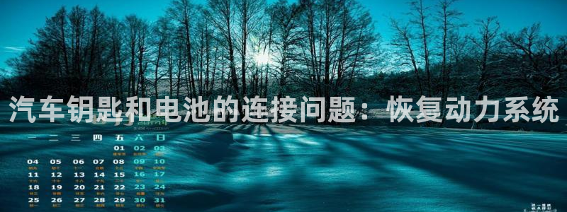 优发国际官网下载app：汽车钥匙和电池的