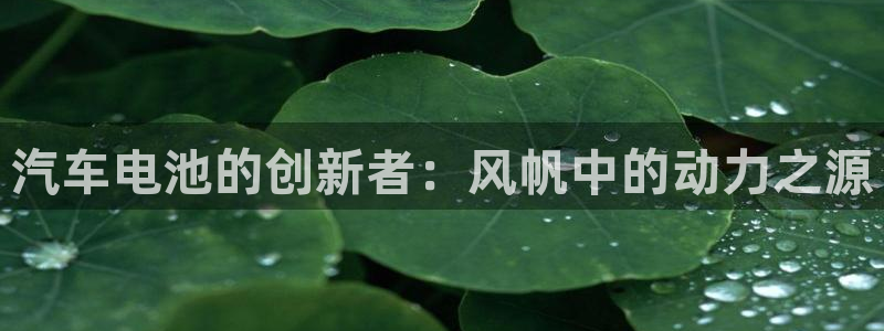 优发国际登录app