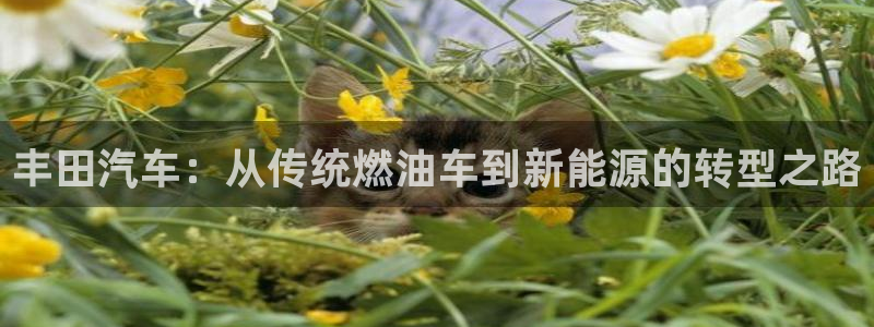 优发国际网官网17o8