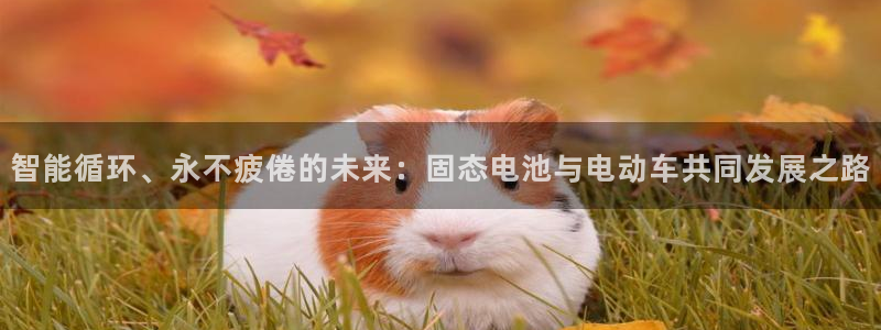 优发国际youfa：智能循环、永不疲倦的未来：固态电池与电动车共同发展之路