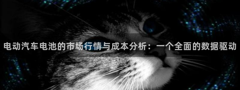 优发国际手机安装登录