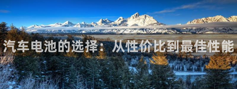 优发国际官网网站首页：汽车电池的选择：从性价比到最佳性能