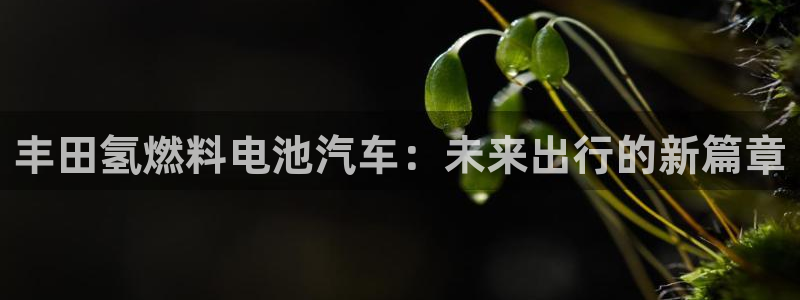 优发国际是大平台吗还是小平：丰田氢燃料电池汽车：未来出行的新篇章