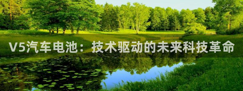优发国际不出款怎么办：V5汽车电池：技术驱动的未来科技革命