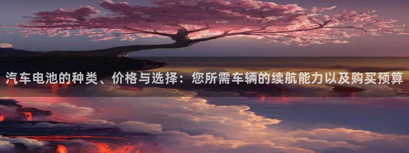 优发国际网官网址是多少：汽车电池的种类、价格与选择：您所需车辆的续航能力以及购买预算