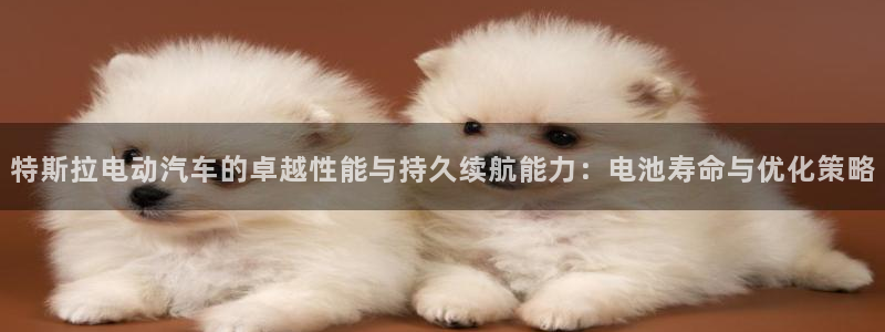 优发国际平台u8是什么：特斯拉电动汽车的卓越性能与持久续航能力：电池寿命与优化策略