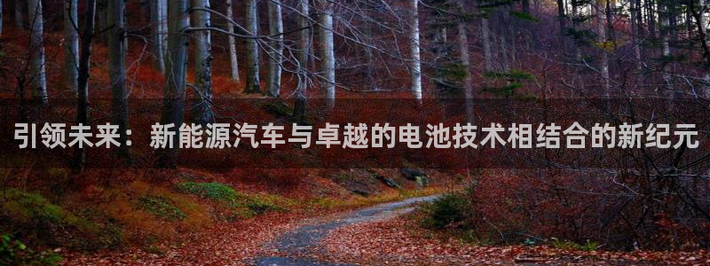 优发国际官网qy88：引领未来：新能源汽车与卓越的电池技术相结合的新纪元