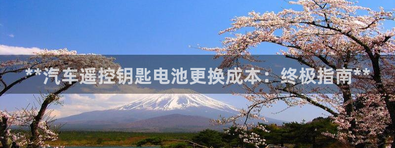 优发国际手机app下载安装苹果：**汽车遥控钥匙电池更换成本：终极指南**